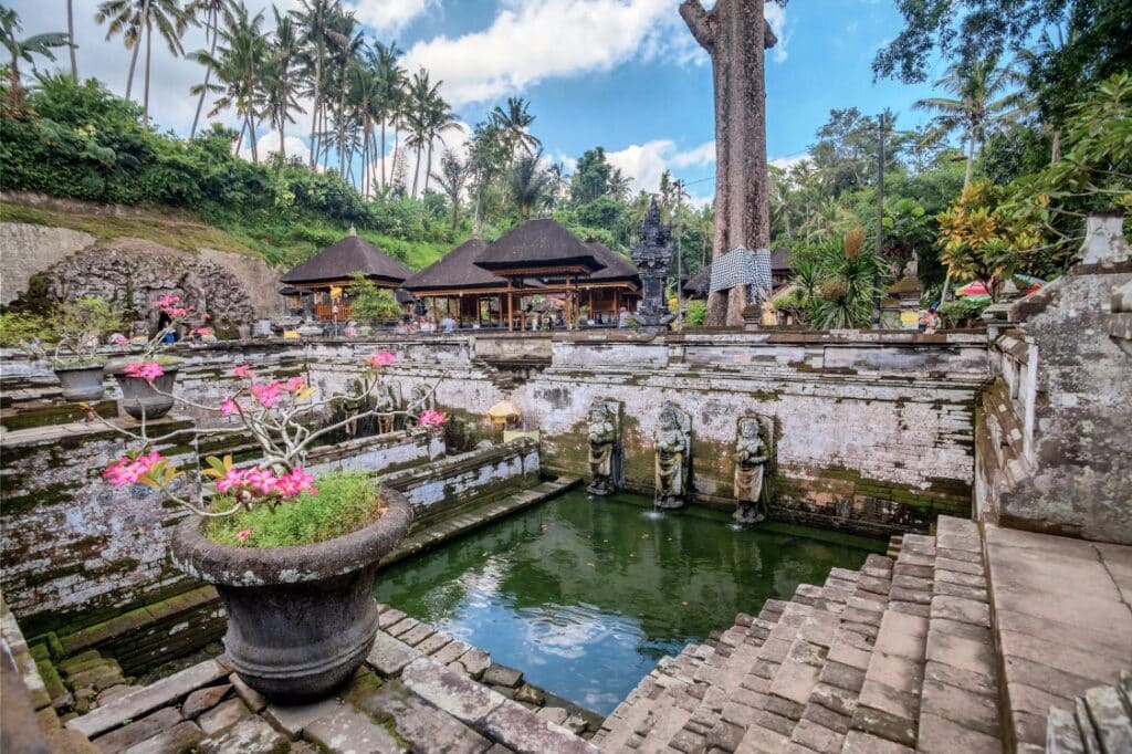 Breezifulbali Goa Gajah