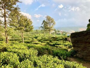 Bienvenue dans l’élégance coloniale de Nuwara Eliya.