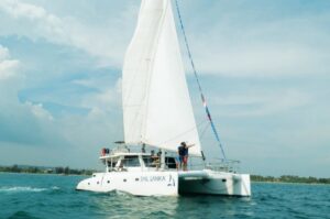 Bienvenue à bord d’un voyage marin entre luxe et nature