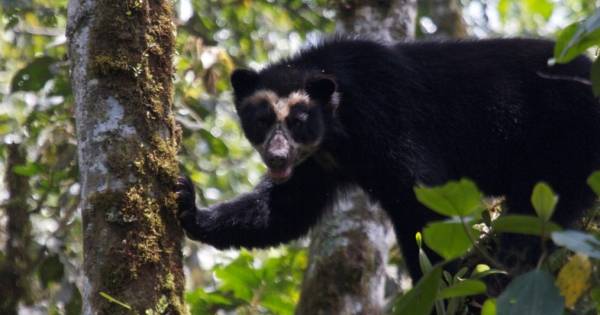 Quito shows commitment to ecotourism