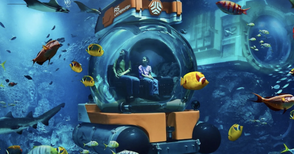 SeaWorld Yas Island in Abu Dhabi has introduced the new SeaSub attraction