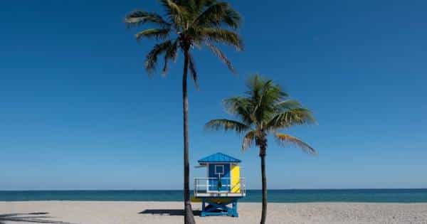 4 Hottest Things to Do While Vacationing in Florida This Summer