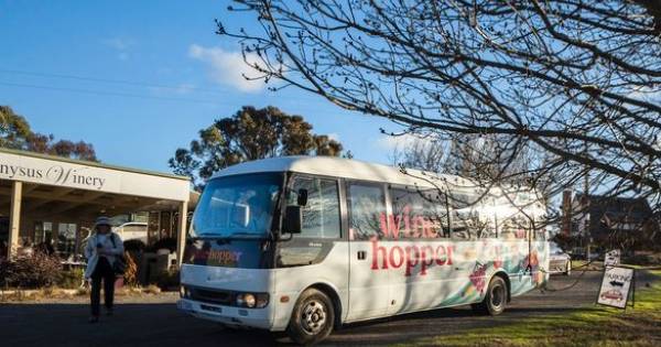 New Wine Hopper Tour Lets You Sip, See, and Discover Canberra’s Wine Region
