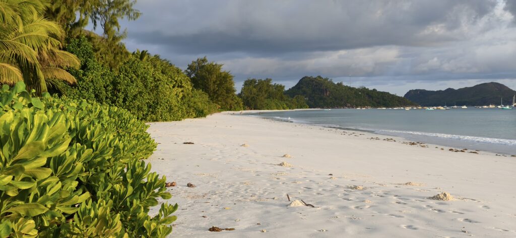 plage acajou